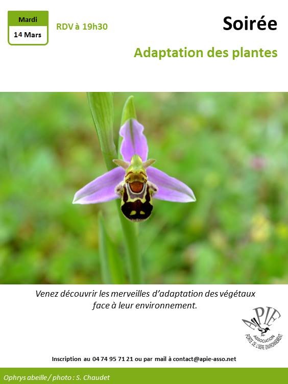 2017.03.15 - Adaptation plantes