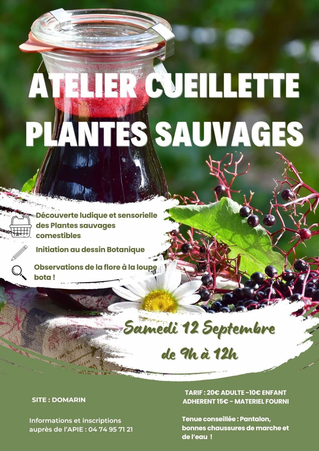 Affiche sur la cueillette des plantes sauvages le 12 septembre 2026